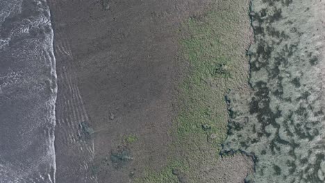 Un-Dron-Descendente-De-Gran-Altitud-Disparó-Sobre-Un-Arrecife-De-Coral-De-Marea-Baja-En-Uluwatu,-Bali,-Indonesia