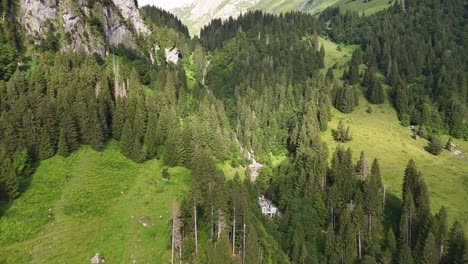 lush green alpine landscape with dense forests and rolling hills in luchsingen, aerial view
