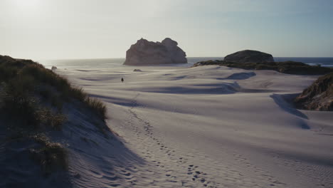 coastal sand dunes at sunset