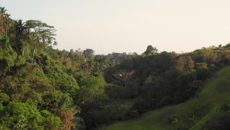 Die-Gratwanderung-In-Der-Nähe-Von-Ubud-Während-Des-Sonnenuntergangs