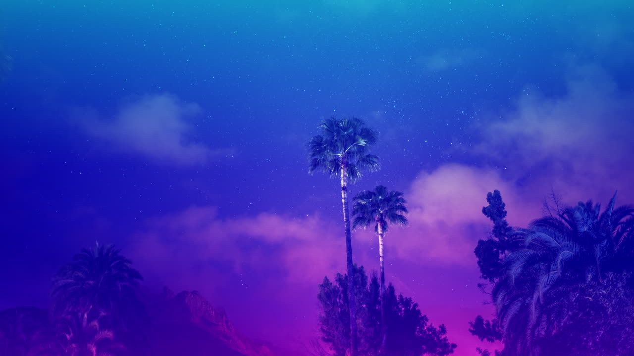 Timelapse stellare delle Isole Canarie con palme