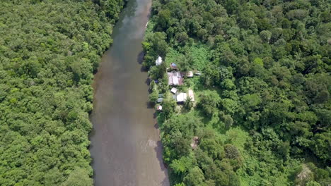 rainforest with a small village beside a river on a sunny day, real time parallax aerial shot