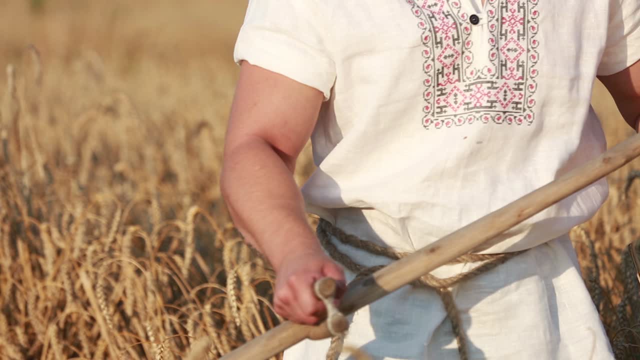 들 에서 밀 을 수확 하는 사람