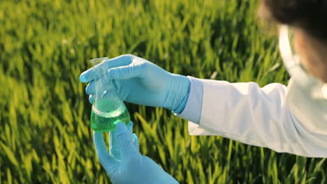 Vista-Cercana-De-Las-Manos-Del-Hombre-Investigador-Sosteniendo-El-Tubo-De-Ensayo-Y-Haciendo-El-Control-De-Plagas-En-El-Campo-Verde