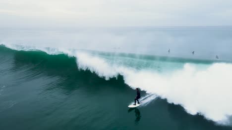 an unrecognizable surfer drops in on a barreling wave in oceanside california