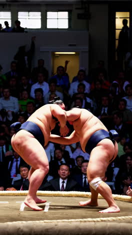 sumo wrestling competition