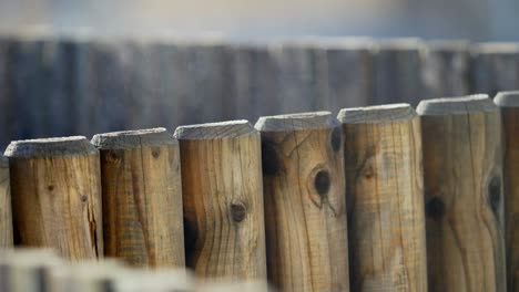 rising steam of a wooden fence in garden during sunny early morning, close up