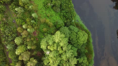 vista aérea de arriba hacia abajo del bosque y el estanque del lago en el valle de reino unido