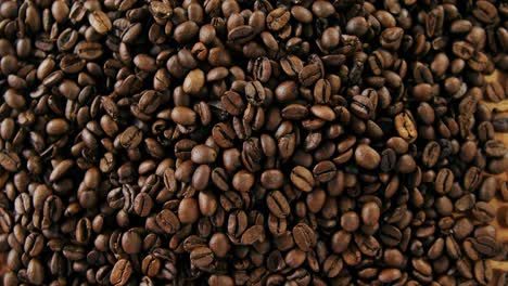 close-up of coffee beans