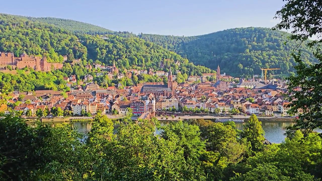 Heidelberg, Germania, vista panoramica del centro storico con rovine del castello, campanili, tetti rossi, fiume Neckar, colline boscose e alberi verdi e rigogliosi da un punto panoramico sotto la calda luce del sole estivo.