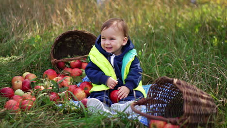 sweet happy kid sits on the grass surrounded by red apples. baby boy in warm clothes looks at big red apple with interest. child in the nature background.
