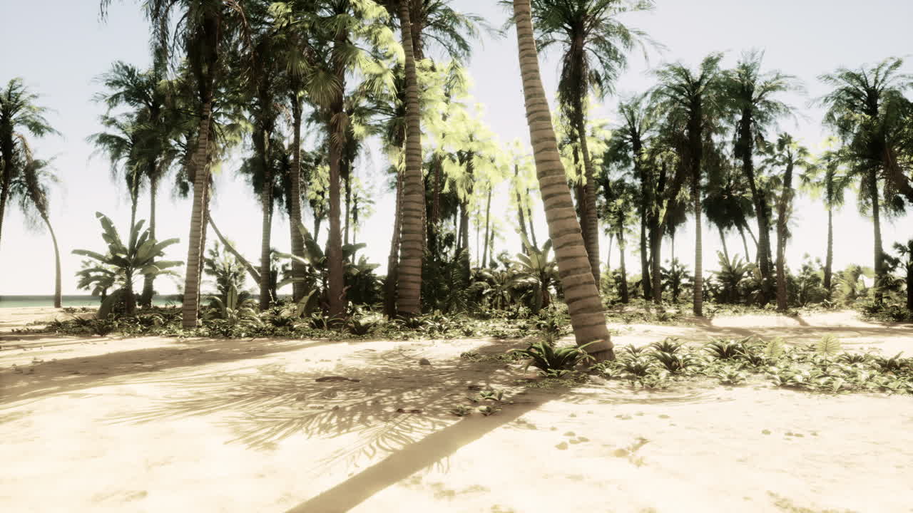 야자수와 열 대 해변