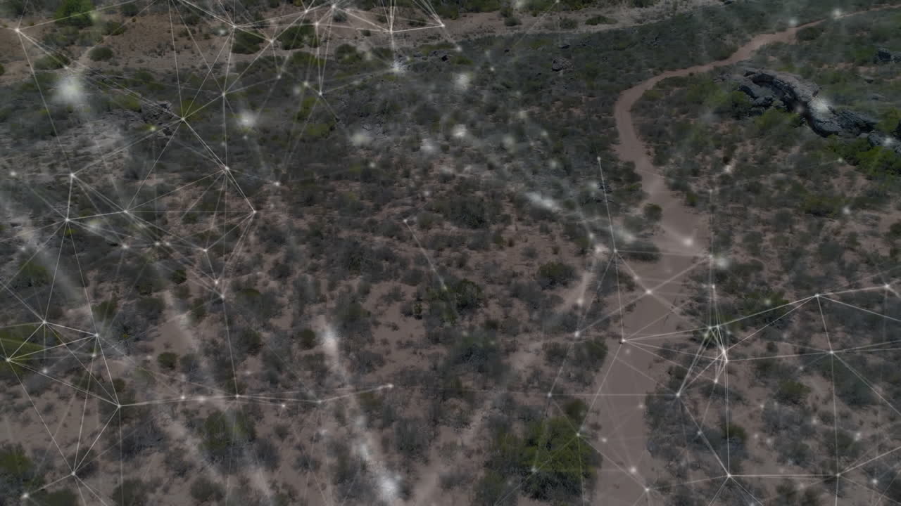 анимация сетей соединений по ландшафту