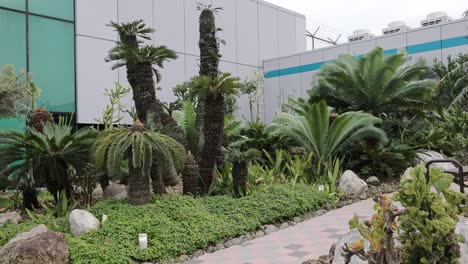 jardín verde con varias plantas y árboles