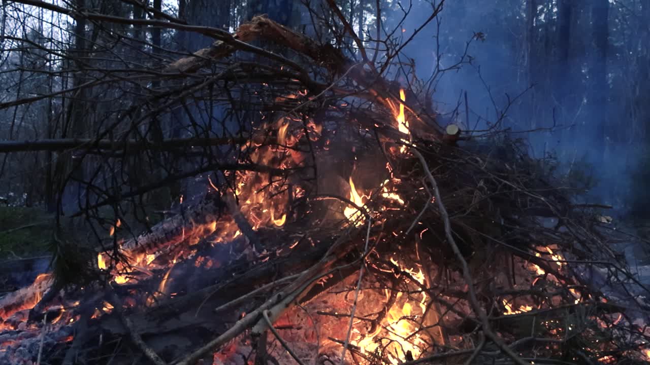 Large fire, campfire or a bonfire with orange vibrant flames and white smoke burning with high heat in a forest during autumn or winter day time with sparks flying and embers glowing. branches burning