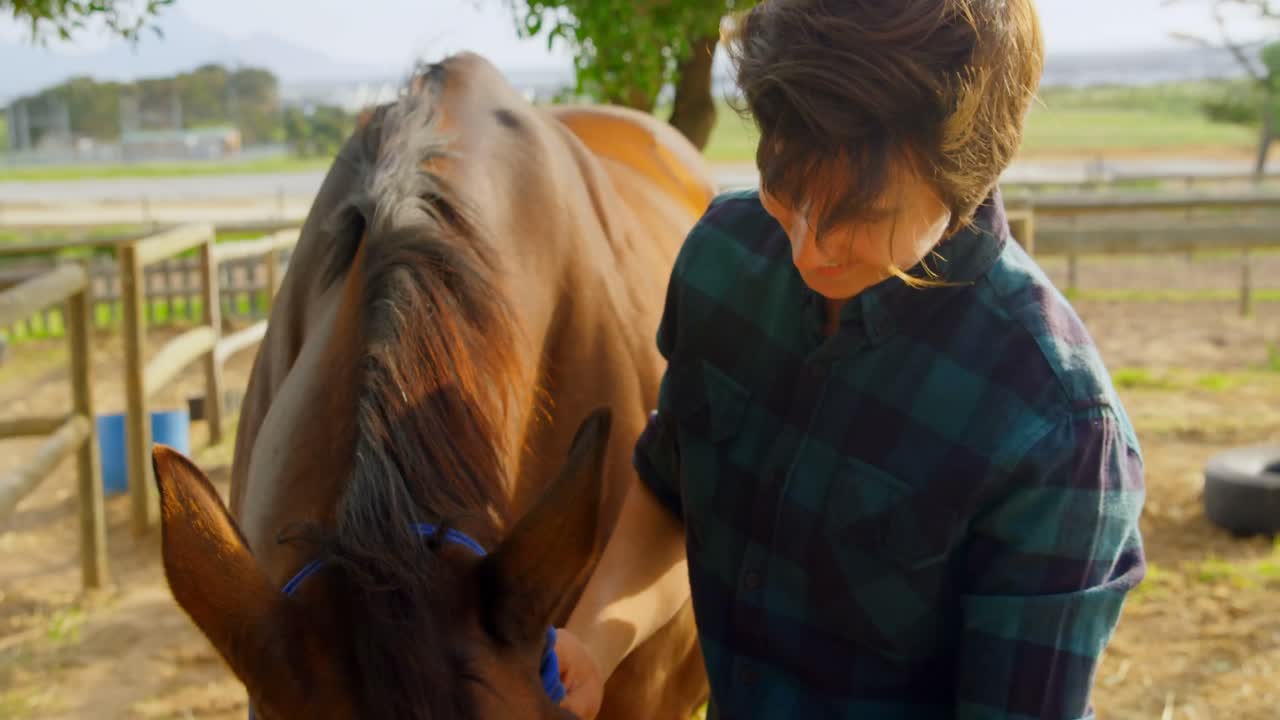 Woman stroking horse at stable 4k