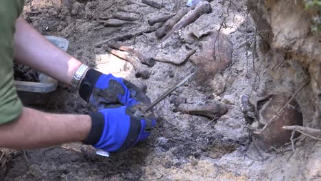 exhumation is the act of digging up, especially a corpse