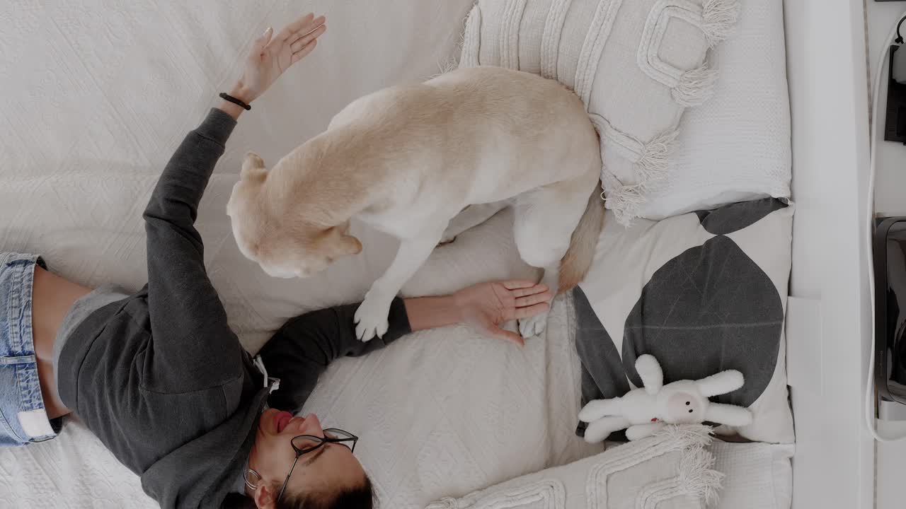 Cute Labrador puppy using paws to ask for attention from owner. Owner lovingly hugs and kisses the dog. Sweet moment showcasing the bond between pet and owner. Adorable puppy behaviour.