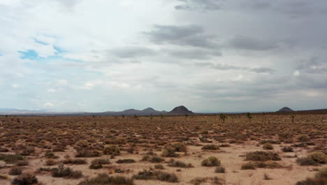 flight over the mojave desert's flat plains and lonely joshua trees towards the distant volcanic formations