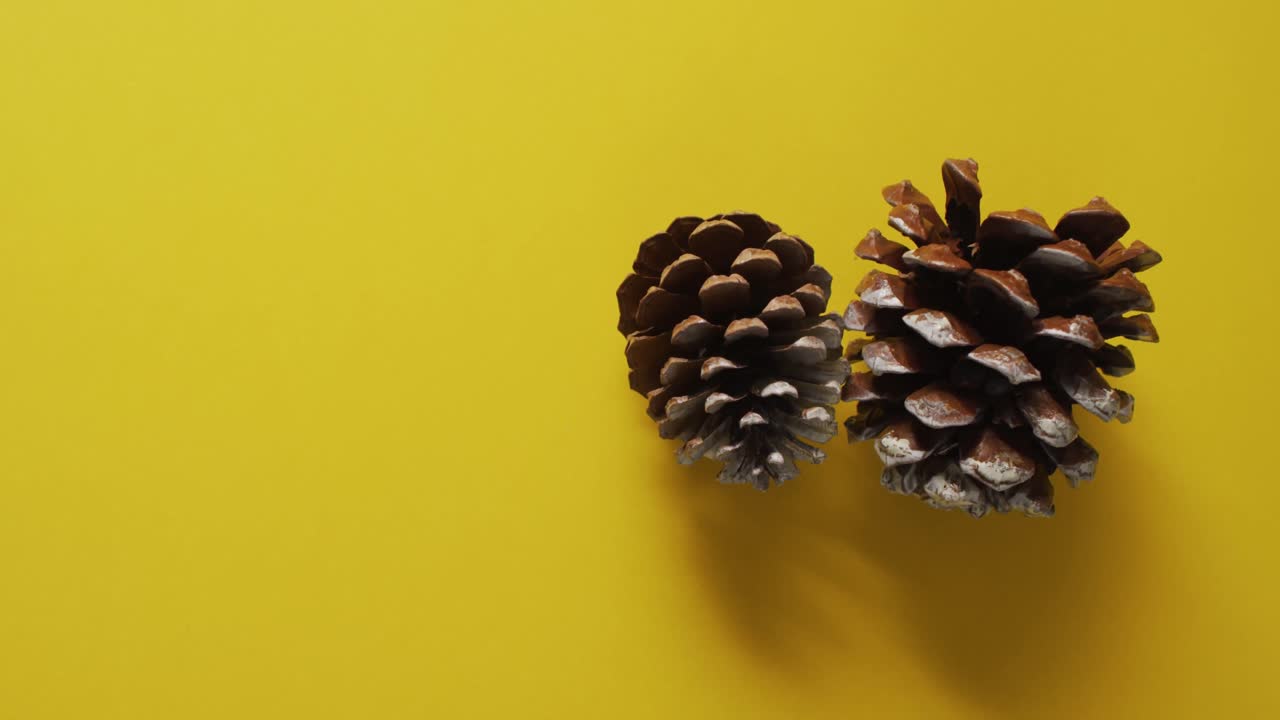 Video of pine cones lying on yellow surface
