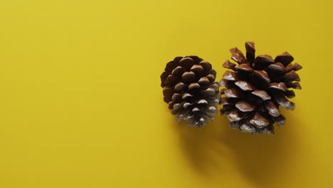 Video-of-pine-cones-lying-on-yellow-surface