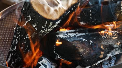 logs burning on fire in close up