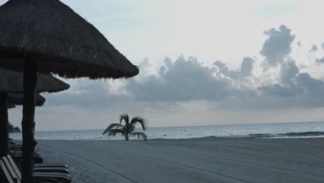 Liegestühle,-Strohschirm-Und-Palme-Am-Tropischen-Strand