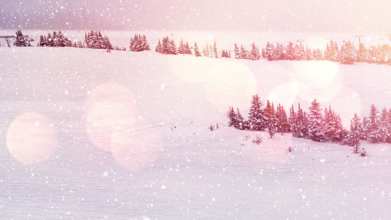 나무 가 있는 겨울 풍경 에 내리는 눈 에 비해 빛 의 반점 들 의 디지털 애니메이션