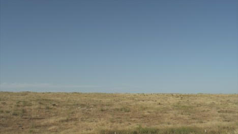 dry desert rocky grassland landscape. slowly panning across a desolate scene as bugs flutter in the foreground