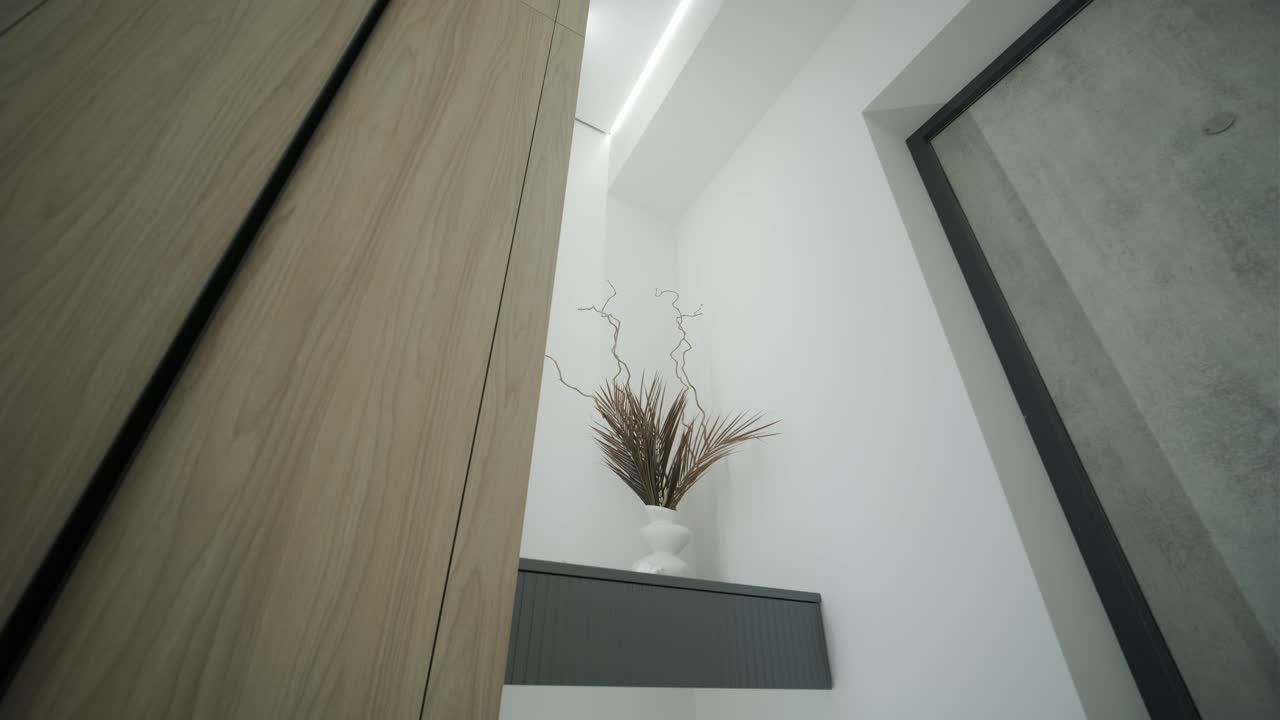 Modern Apartment Hallway with Wooden Cabinet and Concrete Door
