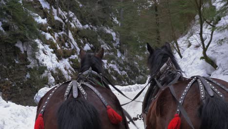 dos caballos tiran de un trineo en un valle nevado