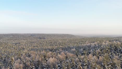 Aéreo:-Volando-Hacia-Atrás-Sobre-Un-Bosque-Helado-Y-Nevado-En-Un-Hermoso-Día-Frío-De-Invierno