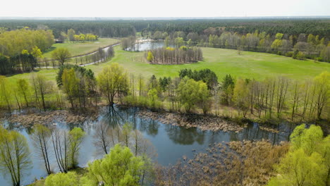 Marshlands-And-Meadows-At-Myslecinek-Nature-Park-In-Poland