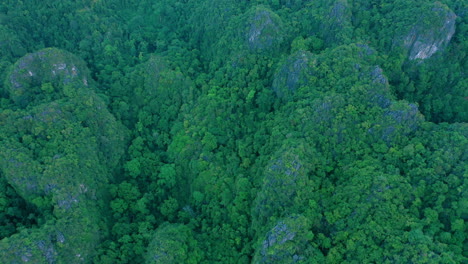 Todos-Debemos-Preocuparnos-Por-La-Naturaleza