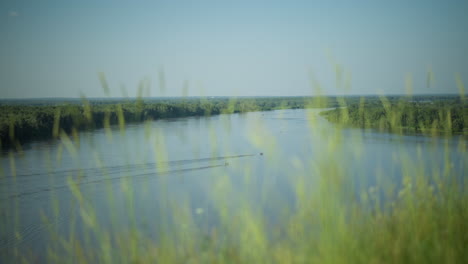 close-up of tall grasses swaying gently in the breeze, with a serene lake in the background where two boats sail peacefully. the focus on the grasses contrasts with the soft, blurred view