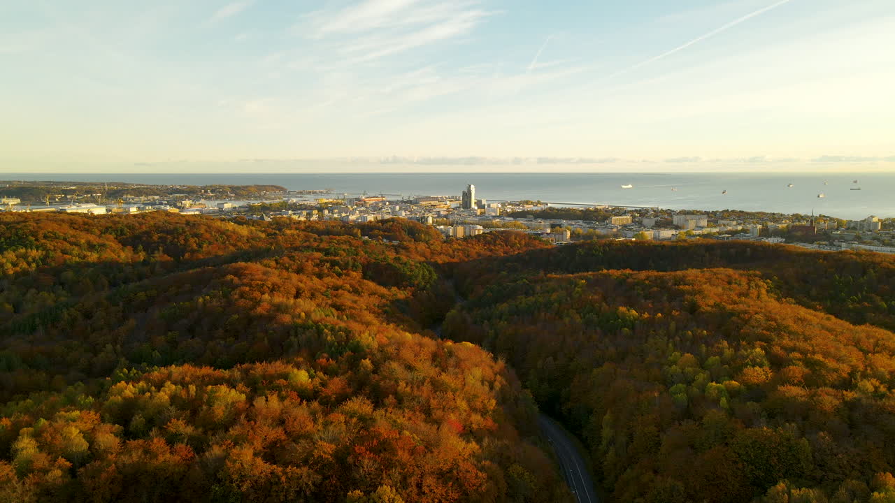 vuelo de drones sobre el paisaje del bosque de otoño con árboles caducos y follaje naranja, camino a través del bosque en otoño, horizonte de la ciudad de gdynia desde un punto distante al atardecer