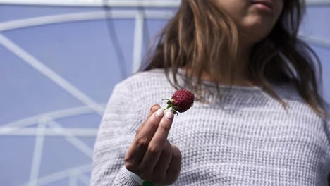 hembra sosteniendo una fruta de fresa roja madura en su mano en un invernadero de la granja
