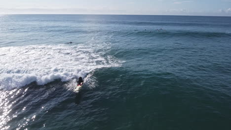 surfer catches wave while doing a handstand caught on drone.