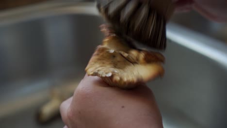 cleaning chanterelle mushroom in sink with brush