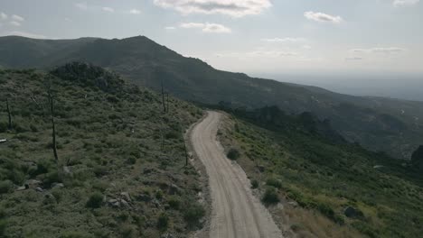 winding dirt road leading over the mountains with short bushes and dead trees