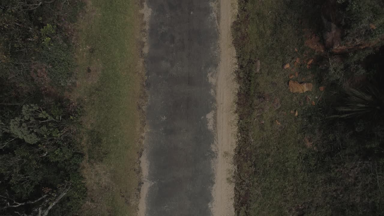 정글에 위치한 도로의 드론 샷
