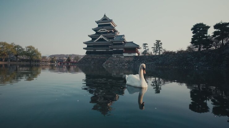 Castello di Matsumoto e il suo fossato a Nagano, Giappone