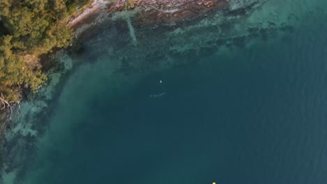 Unique-artistic-view-turning-and-falling-from-above-towards-a-group-of-scuba-divers-underwater