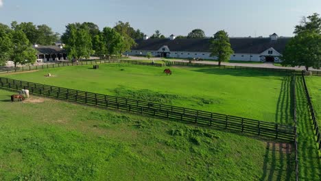 lush pastures with horses at the kentucky horse park, enclosed by dark fences