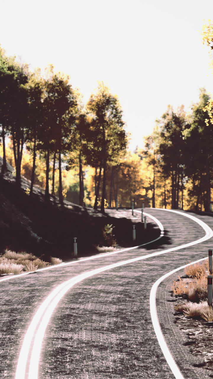 camino escénico de otoño