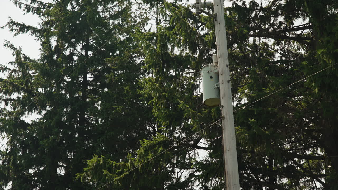 caja y línea de transformador de poste de energía, viento soplando en los pinos detrás