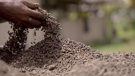 a man stirs organic balanced pet food with his hands