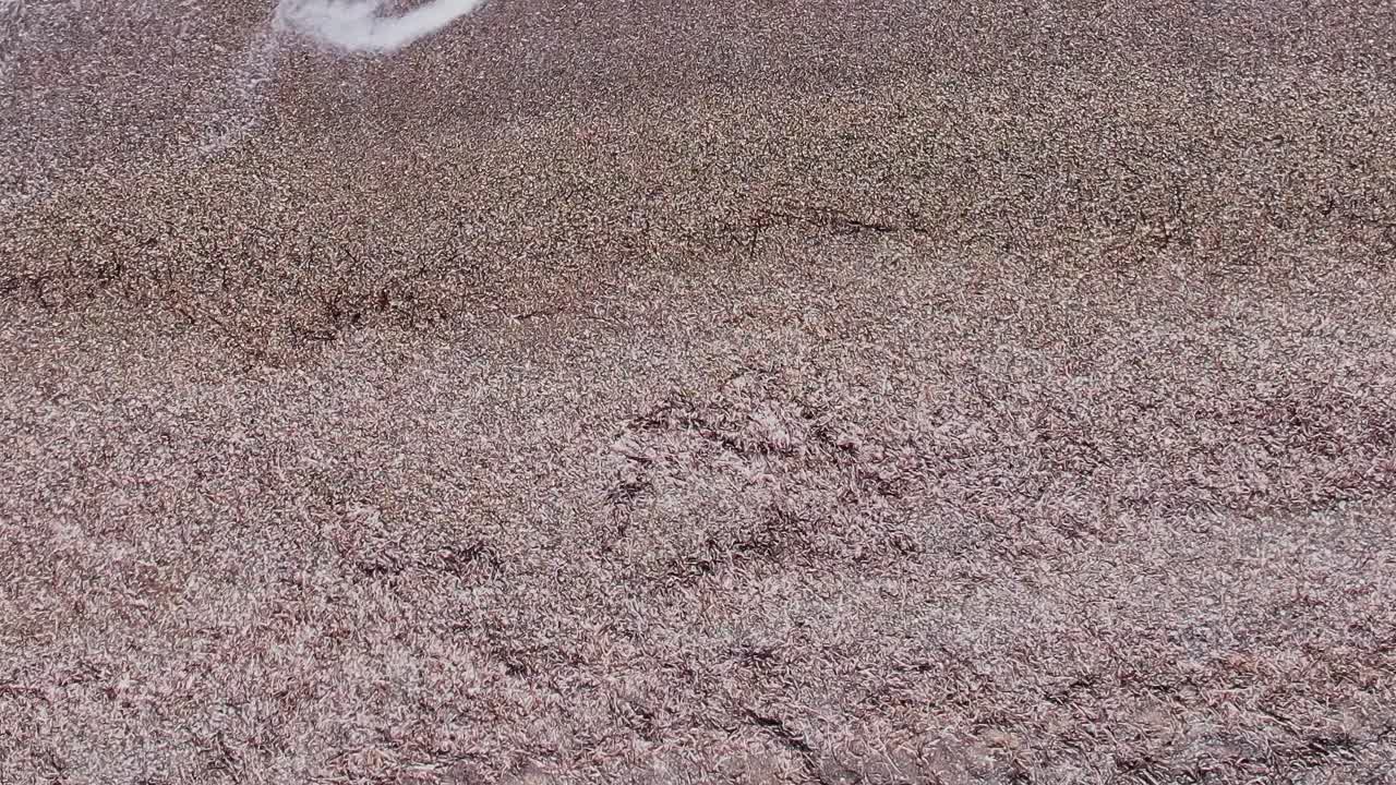 Areia e pedras na praia de Rhodes, Grécia, perto da água