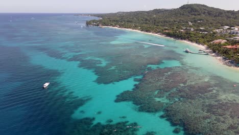 drone footage of the tropical paradise, roatan