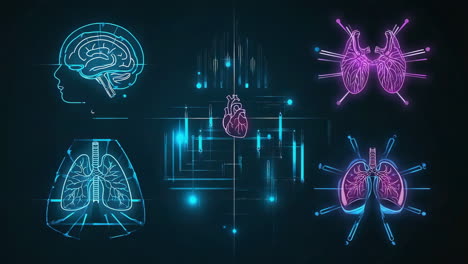 digital visualization of human organs and medical technology